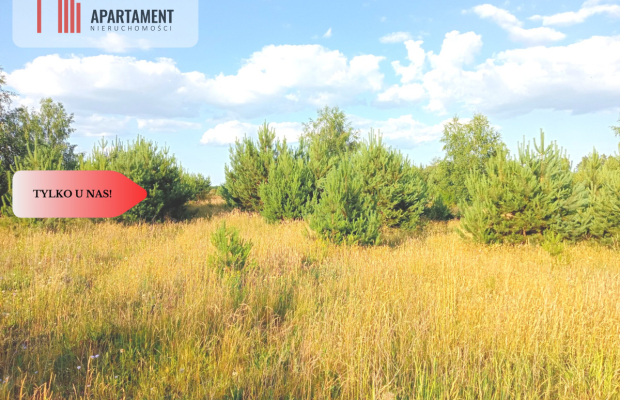 Stronno 1002 m2 w spokojnej cichej okolicy