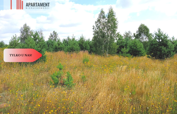 Stronno 1002 m2 w spokojnej cichej okolicy