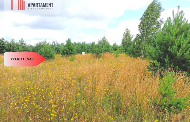 Stronno 1002 m2 w spokojnej cichej okolicy