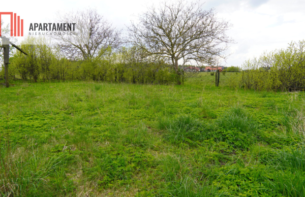 Duża działka do podziału lub inwestycji!