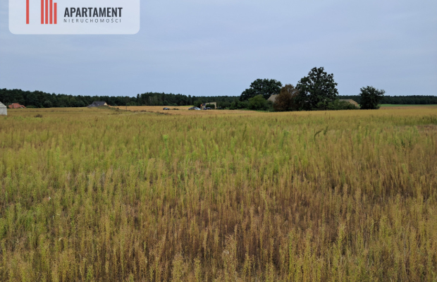 Atrakcyjne działki w Gąbinie