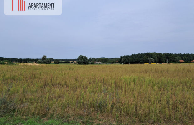 Atrakcyjne działki w Gąbinie