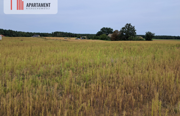 Atrakcyjne działki w Gąbinie