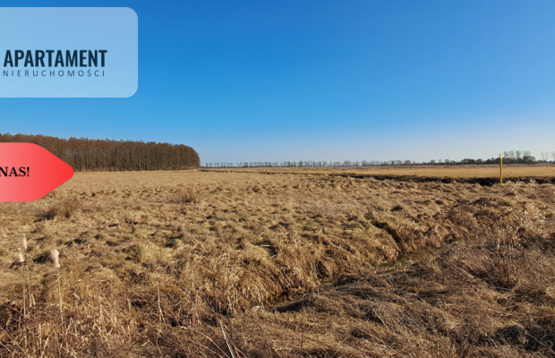 Działki budowlane - Kruszyn Krajeński