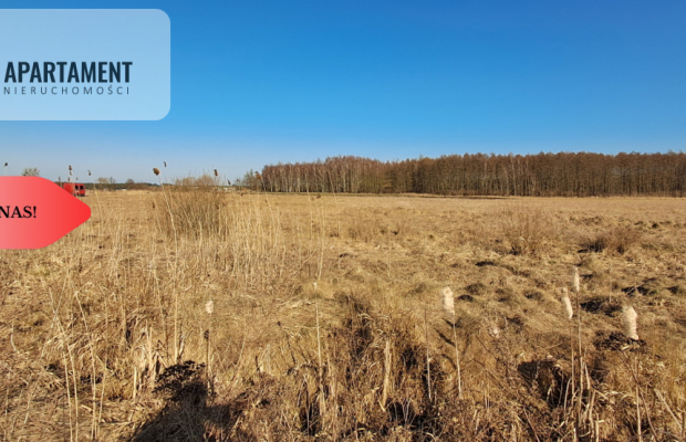 Działki budowlane - Kruszyn Krajeński