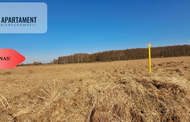 Działki budowlane - Kruszyn Krajeński