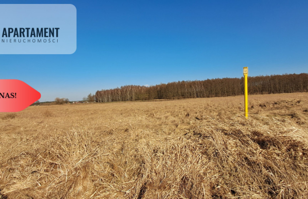 Działki budowlane - Kruszyn Krajeński