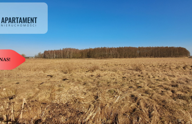 Działki budowlane - Kruszyn Krajeński