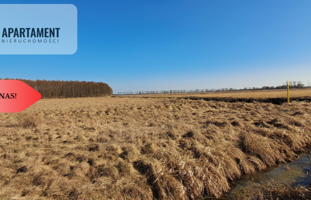 Działki budowlane - Kruszyn Krajeński