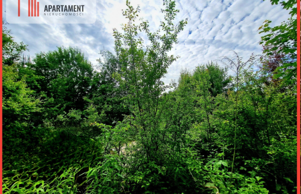Spokojna okolica, blisko lasu!
