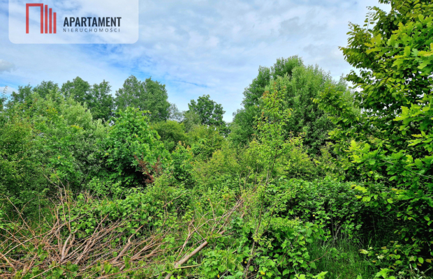 Spokojna okolica, blisko lasu!