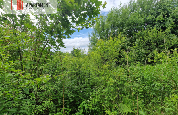 Spokojna okolica, blisko lasu!
