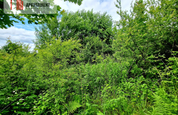Spokojna okolica, blisko lasu!