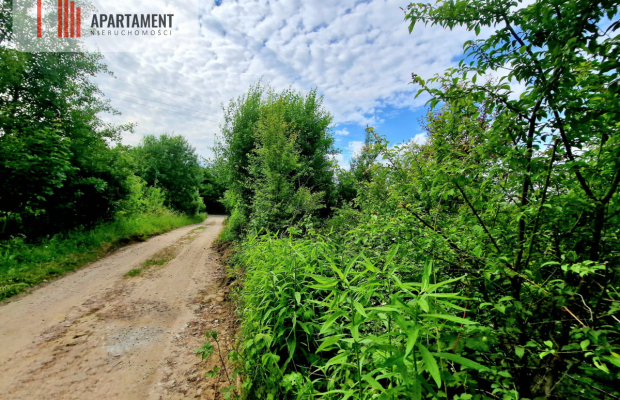 Spokojna okolica, blisko lasu!