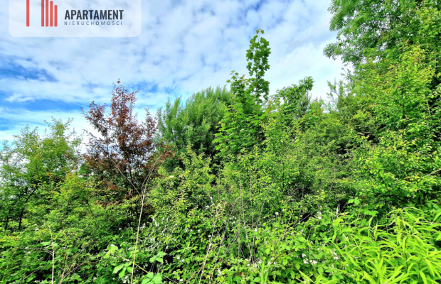 Spokojna okolica, blisko lasu!