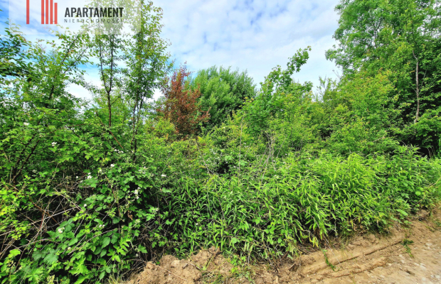 Spokojna okolica, blisko lasu!