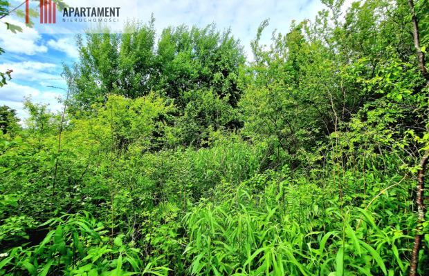 Spokojna okolica, blisko lasu!