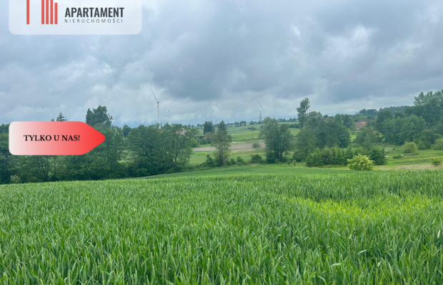 Działka z warunkami zabudowy Koniecwałd