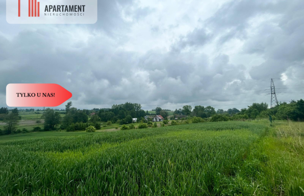 Działka z warunkami zabudowy Koniecwałd