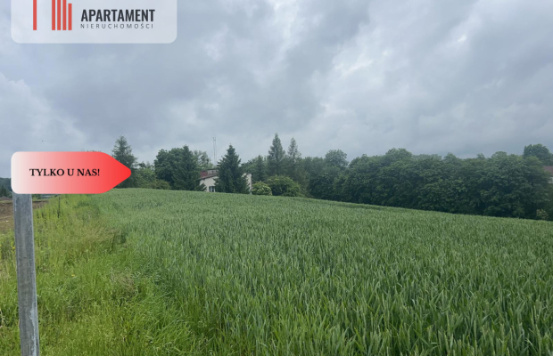 Działka z warunkami zabudowy Koniecwałd