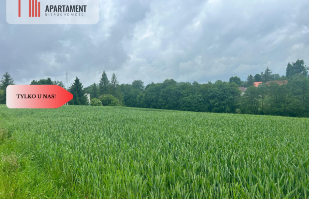 Działka z warunkami zabudowy Koniecwałd