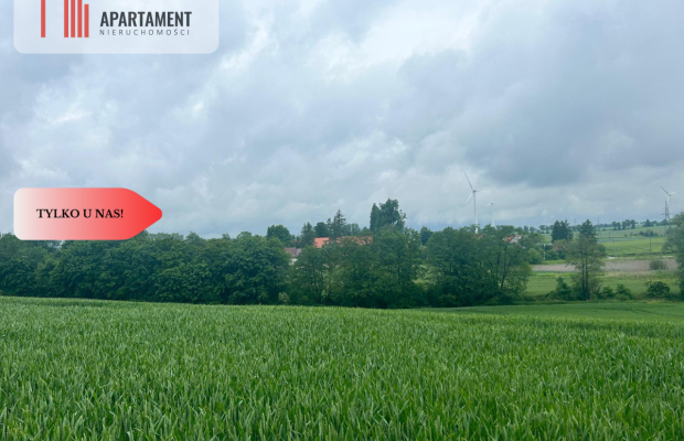 Działka z warunkami zabudowy Koniecwałd