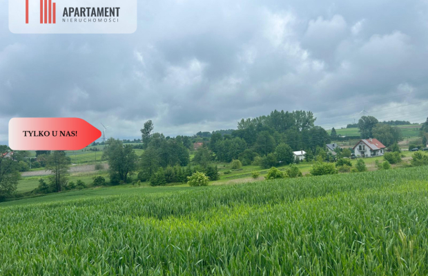 Działka z warunkami zabudowy Koniecwałd