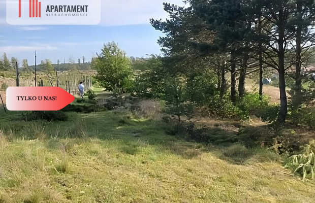 Dla kochających nature, jeziora, słońce. KASZUBY!