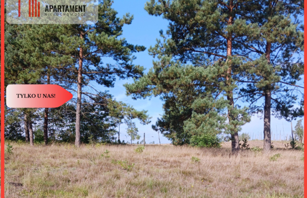 Dla kochających nature, jeziora, słońce. KASZUBY!
