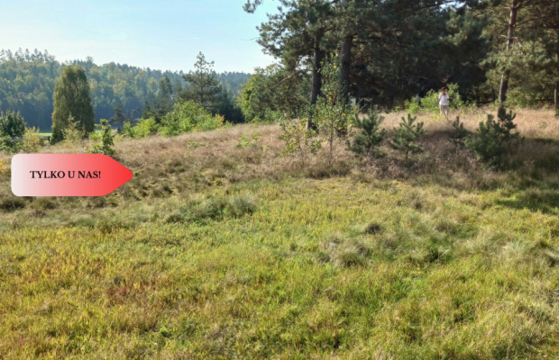 Dla kochających nature, jeziora, słońce. KASZUBY!