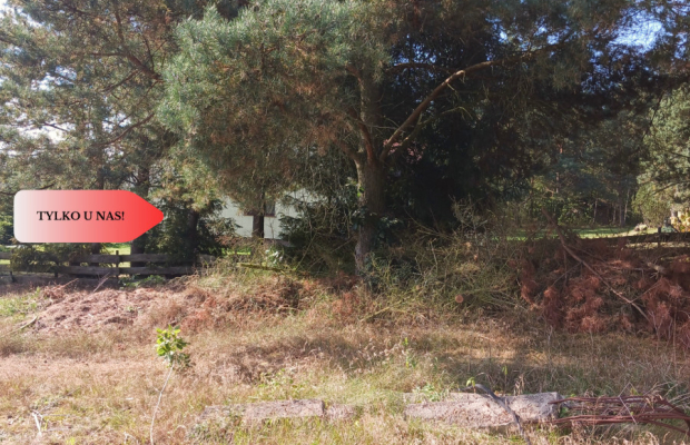 Dla kochających nature, jeziora, słońce. KASZUBY!