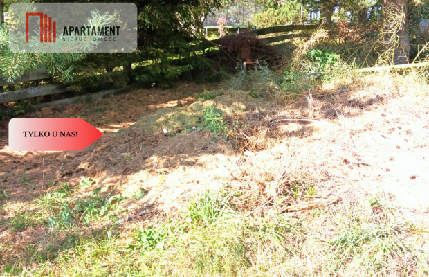 Dla kochających nature, jeziora, słońce. KASZUBY!