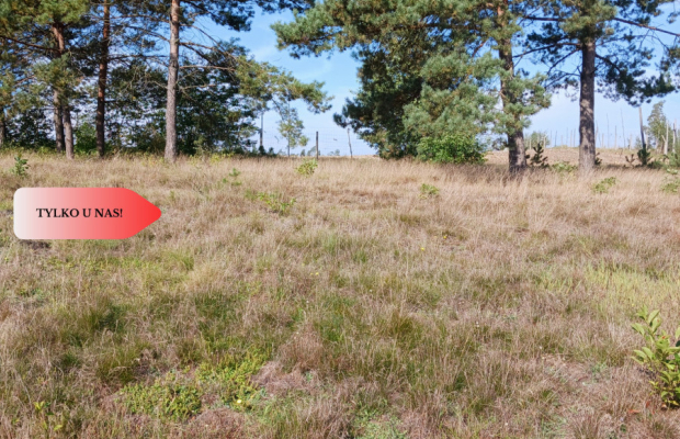 Dla kochających nature, jeziora, słońce. KASZUBY!