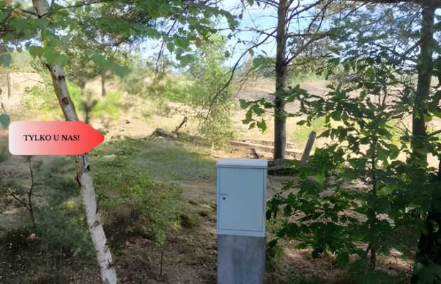 Dla kochających nature, jeziora, słońce. KASZUBY!