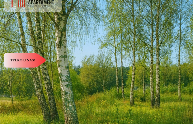 Piękne działki nad jeziorem Pile w Piławie