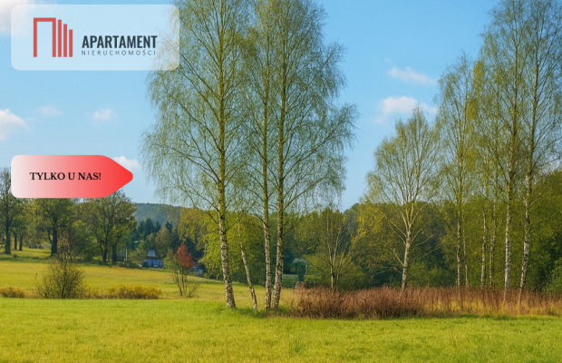 Piękne działki nad jeziorem Pile w Piławie