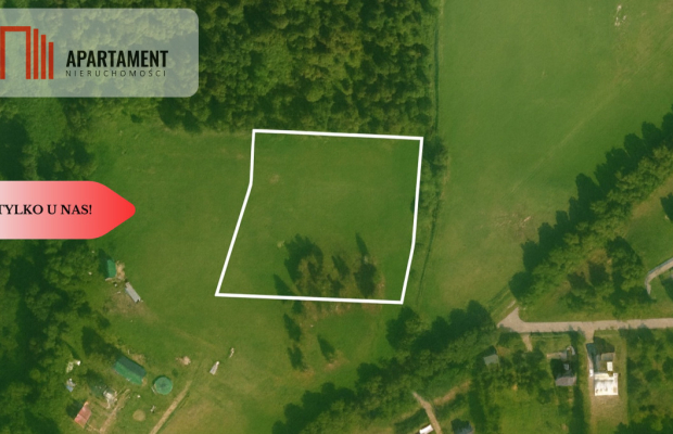 Piękne działki nad jeziorem Pile w Piławie