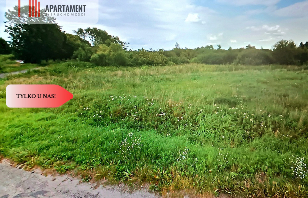 DZIAŁKA ROLNA 1,93ha LUDWIKOWO CISZA SPOKÓJ