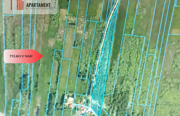 DZIAŁKA ROLNA 1,93ha LUDWIKOWO CISZA SPOKÓJ