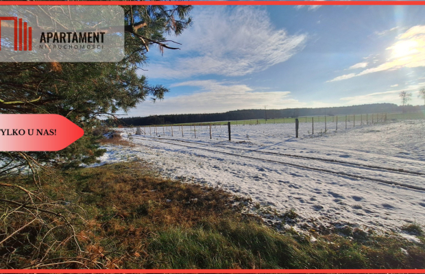 Duży teren w atrakcyjnej lokalizacji