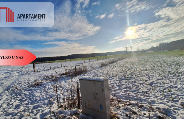 Duży teren w atrakcyjnej lokalizacji