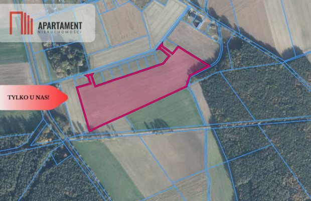 Duży teren w atrakcyjnej lokalizacji