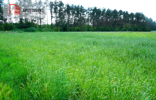 Urokliwe działki nad jeziorem Brzuchowo!