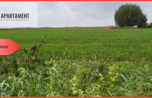 Działki budowlane - Wyrzysk Skarbowy