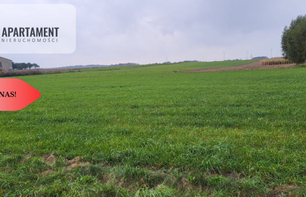 Działki budowlane - Wyrzysk Skarbowy