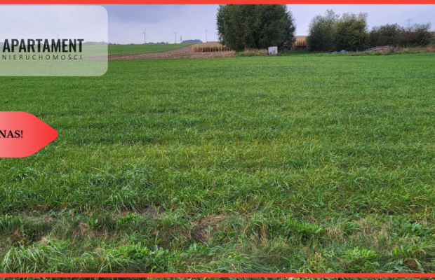 Działki budowlane - Wyrzysk Skarbowy