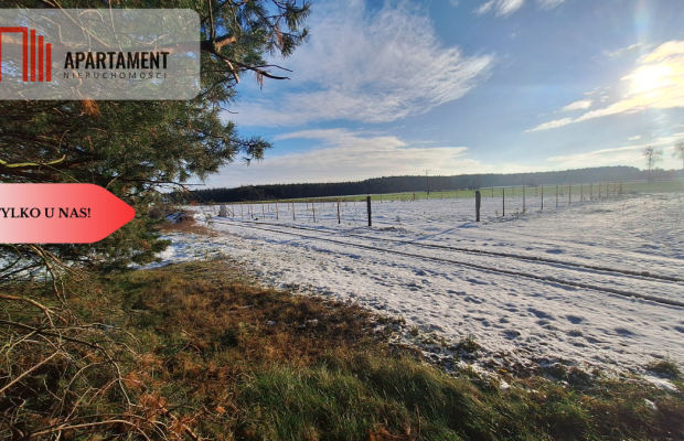 Z miasta na wieś! Idealne miejsce do zamieszkania.