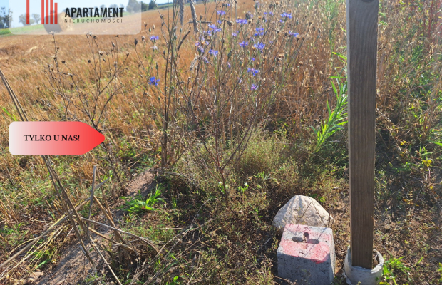 Z miasta na wieś! Idealne miejsce do zamieszkania.