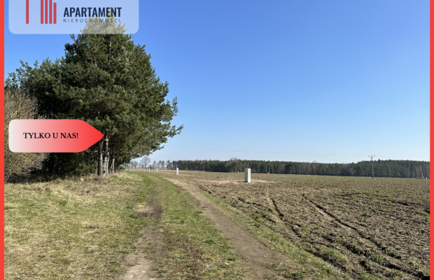 Z miasta na wieś! Idealne miejsce do zamieszkania.