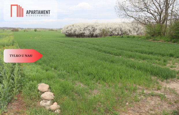 Działka rolna 0,95 ha/Wilków Średzki/Dobry dojazd